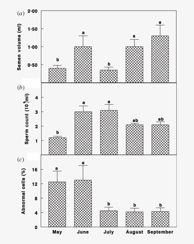 Semen Volume , Semen Count (b), And Percentage Of Abnormal - Line Art, transparent png