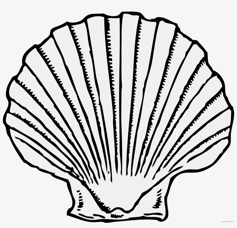 Graphic Transparent Stock Free For Download On Rpelm - Black And White Shell Drawing, transparent png