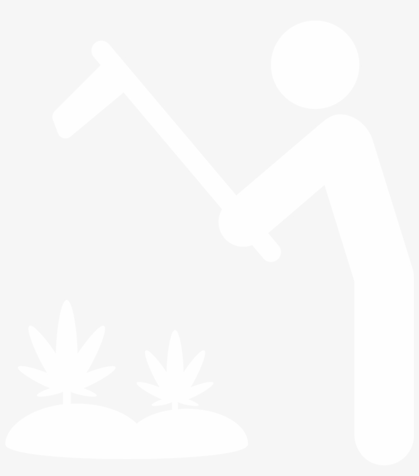 Why Are You Growing - Google Logo G White, transparent png