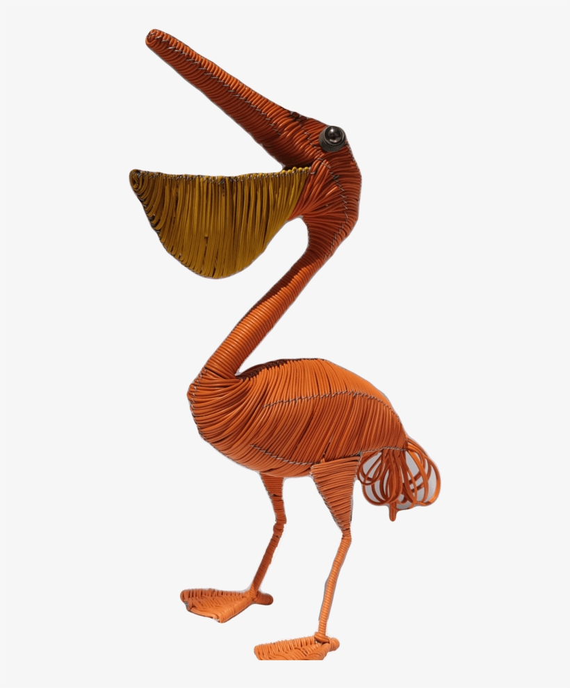 Pelican - Turkey, transparent png