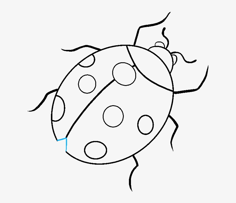 680 X 678 9 - Ladybug Drawing, transparent png