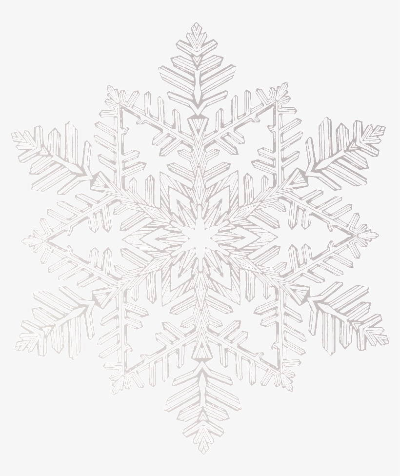Circle, transparent png