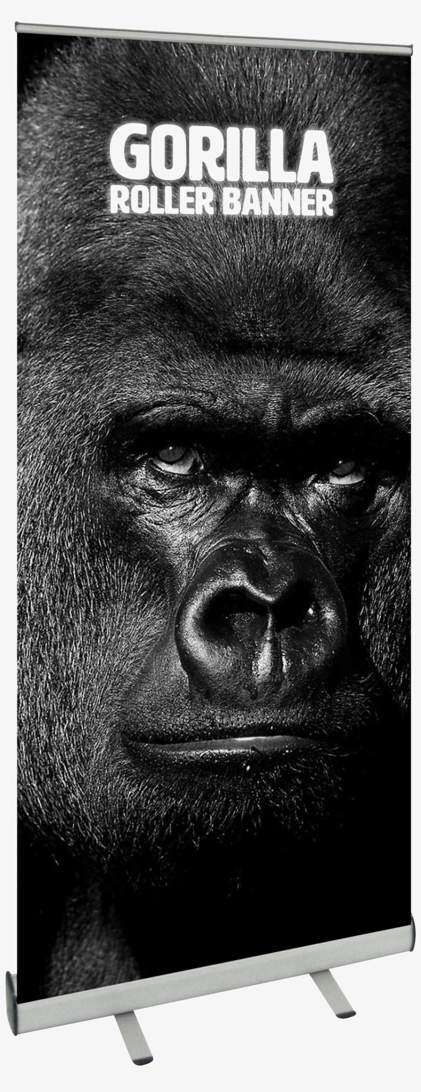 Gorilla Roller Banner - Monkey, transparent png