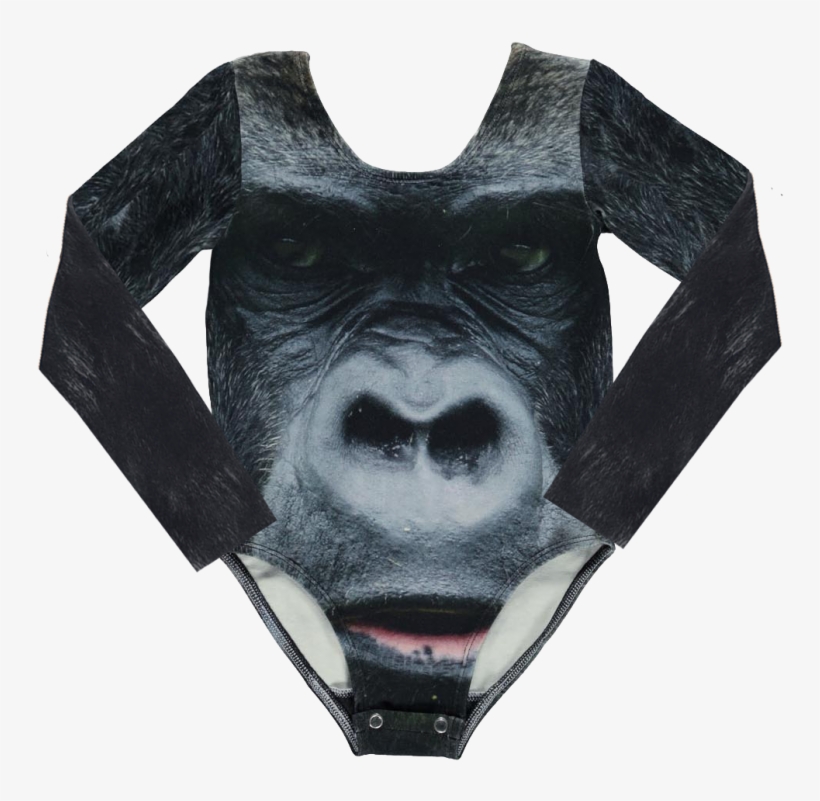 Popupshop Gym Piece Gorilla - Western Gorilla, transparent png