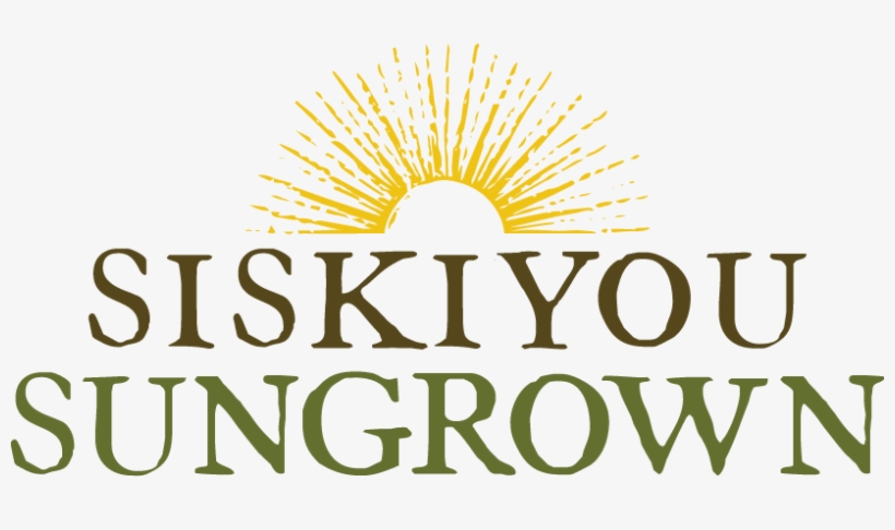 Sslogo Halfsun Newcolor Format=1500w, transparent png