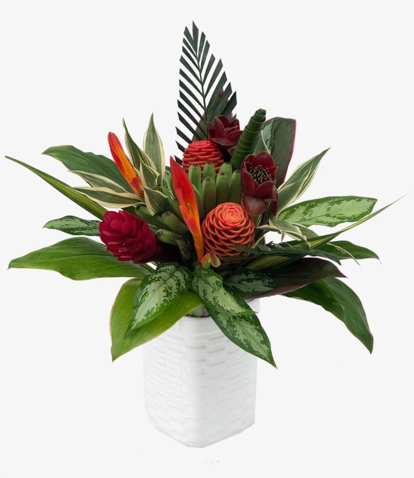 Bouquet Round Maraca A - Poinsettia, transparent png