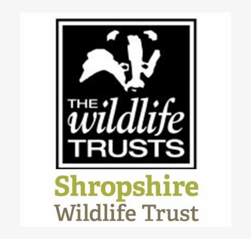 In The Spotlight - Wildlife Trust, transparent png