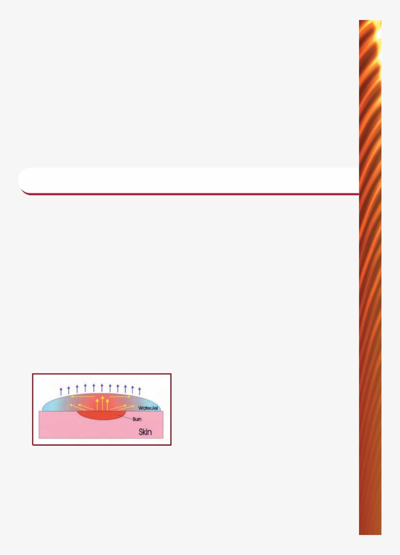 For The Pre-hospital Professional, It Is Essential - Stationery, transparent png