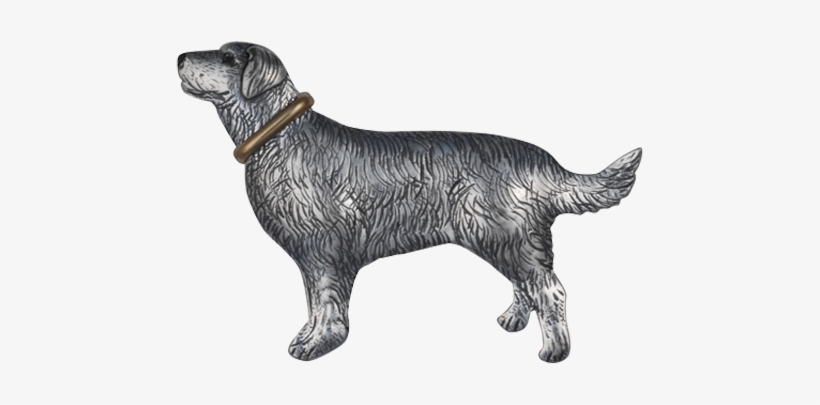 Golden Retriever, transparent png