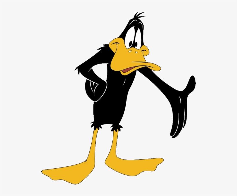 Daffy Duck - 534x600 PNG Download - PNGkit