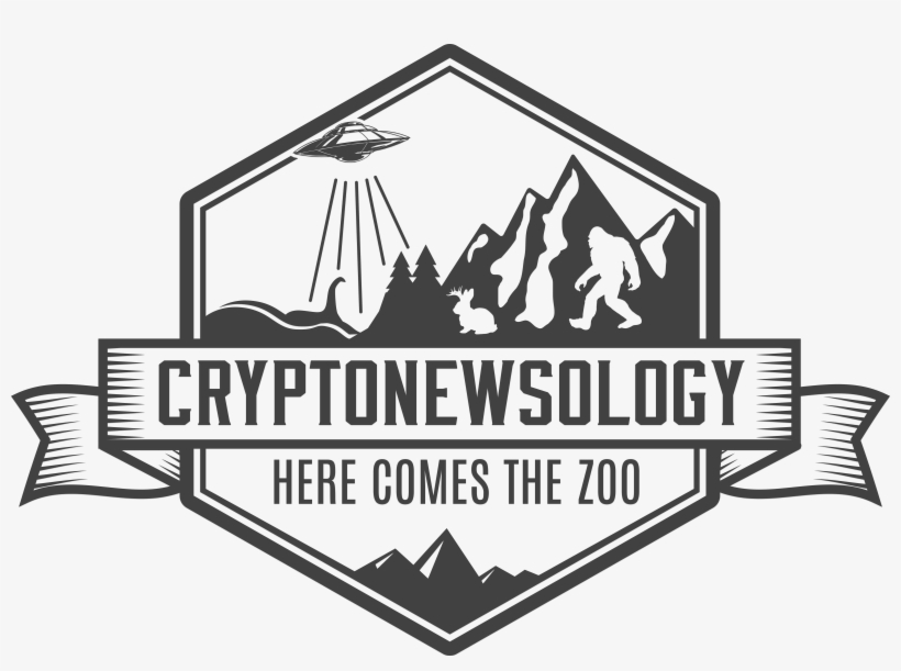 Cryptonewsology - Sign, transparent png