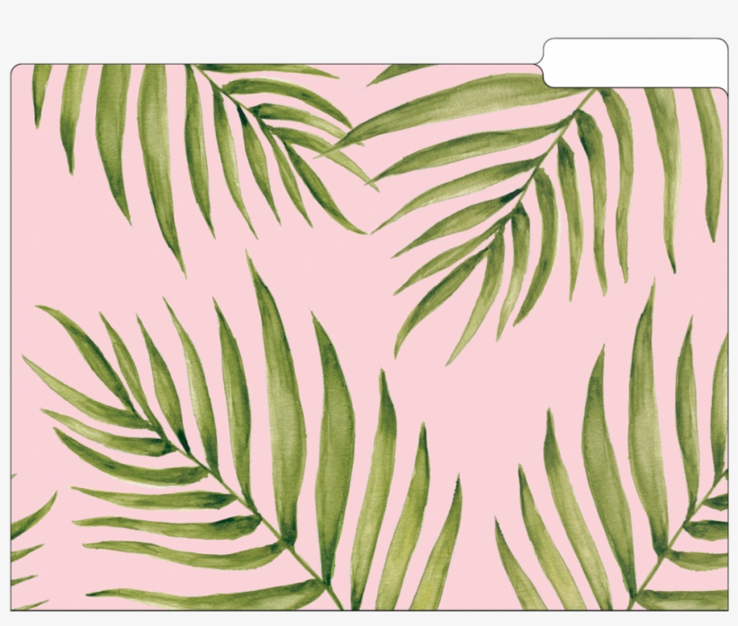 File Folder Set, Palm Leaves, transparent png