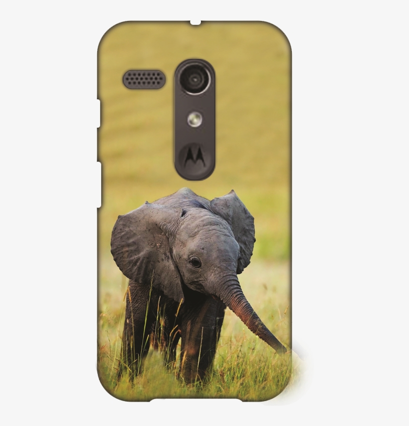 Adorable Elephants, transparent png