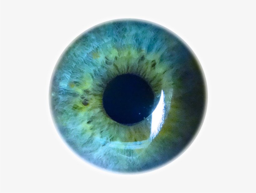 Humans Evolved The Ability To Detect The Wavelengths - Circle, transparent png