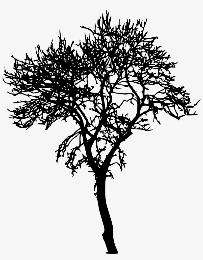 Jungle Tree Silhouette Transparent, transparent png
