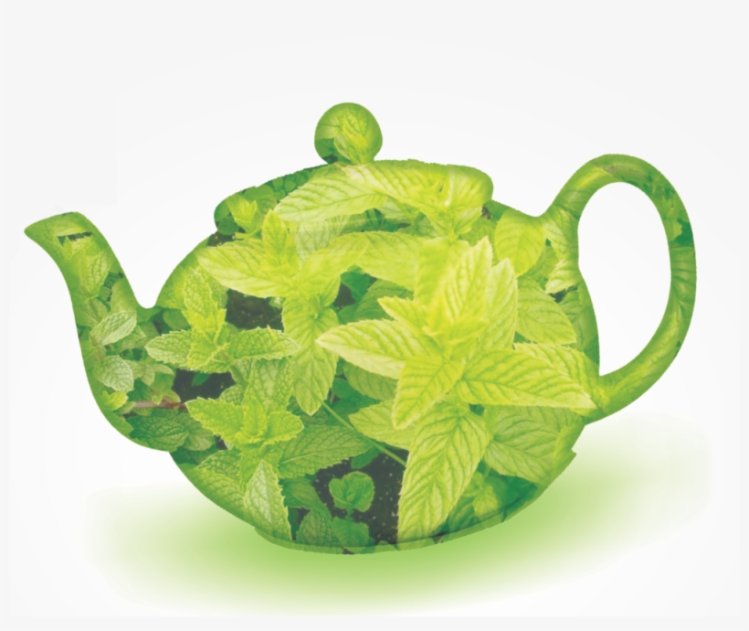 About Spearmint Green Tea, transparent png