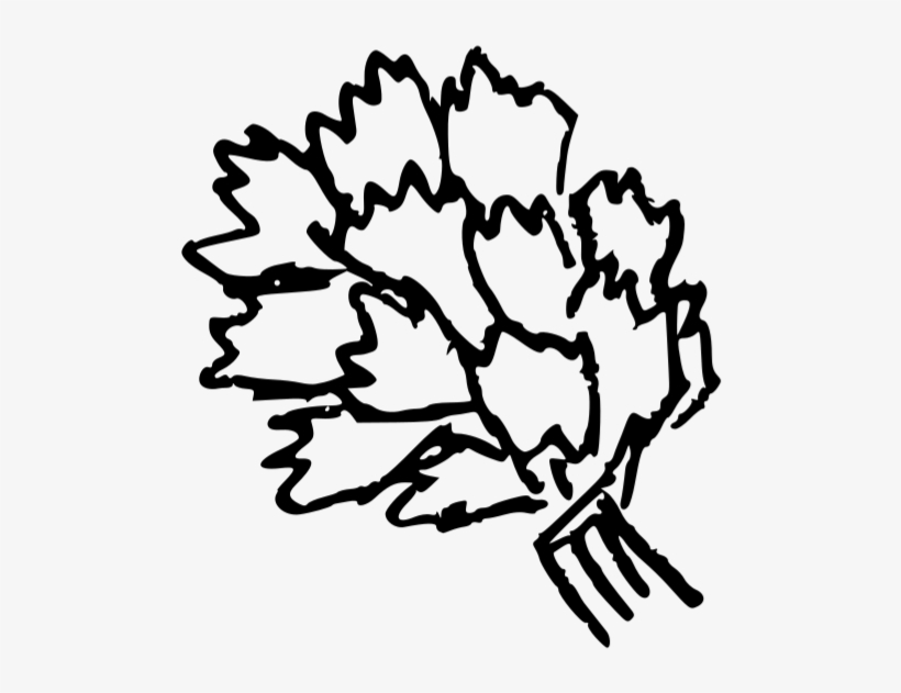 Doodle-cilantro, transparent png