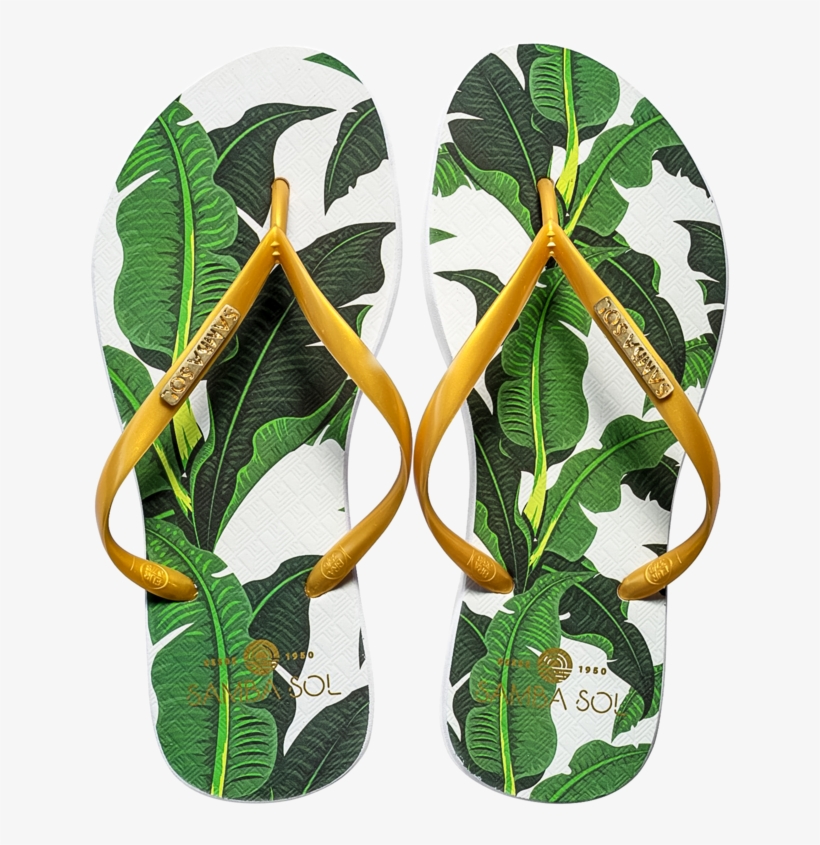 Women's Fashion Collection Flip Flops, transparent png