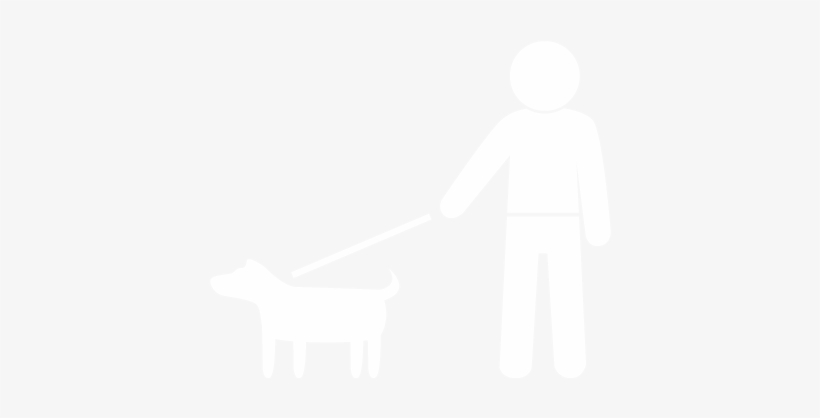Dog Walking - Dog, transparent png