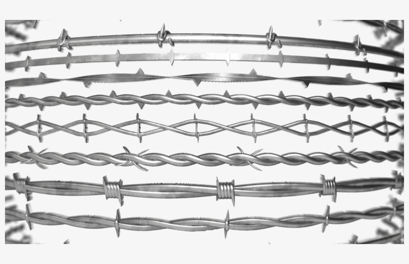 Hotel Carpet With Interlaced Geo Design, Scifabric - Barbed Wire, transparent png