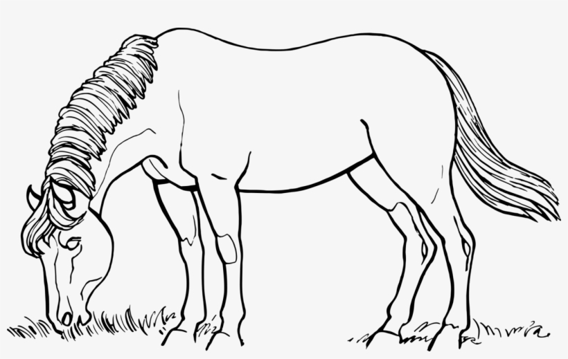Horses Png Black And White - Horse Drawing Black And White, transparent png