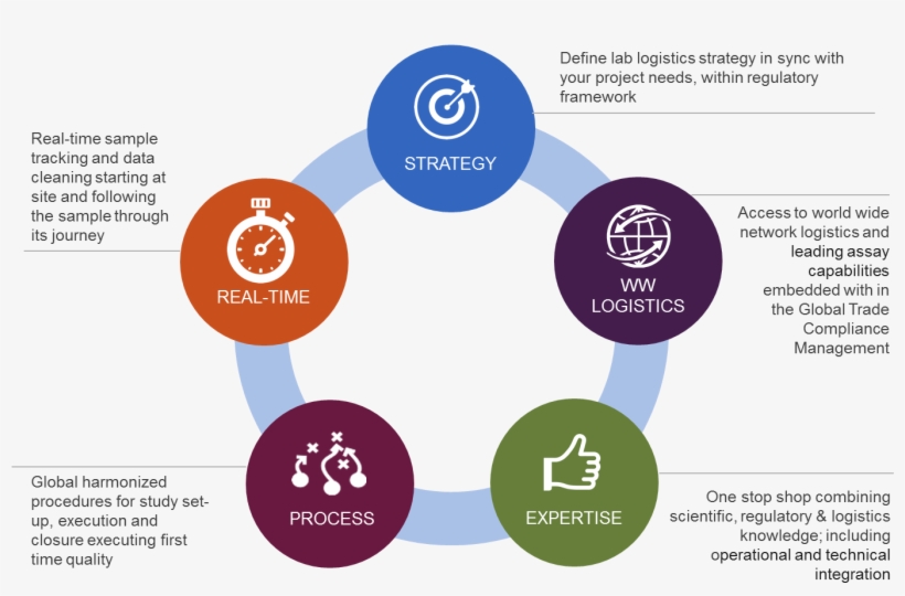 Diagram Showing Key Elements Of Parexel's Laboratory - Diagram, transparent png