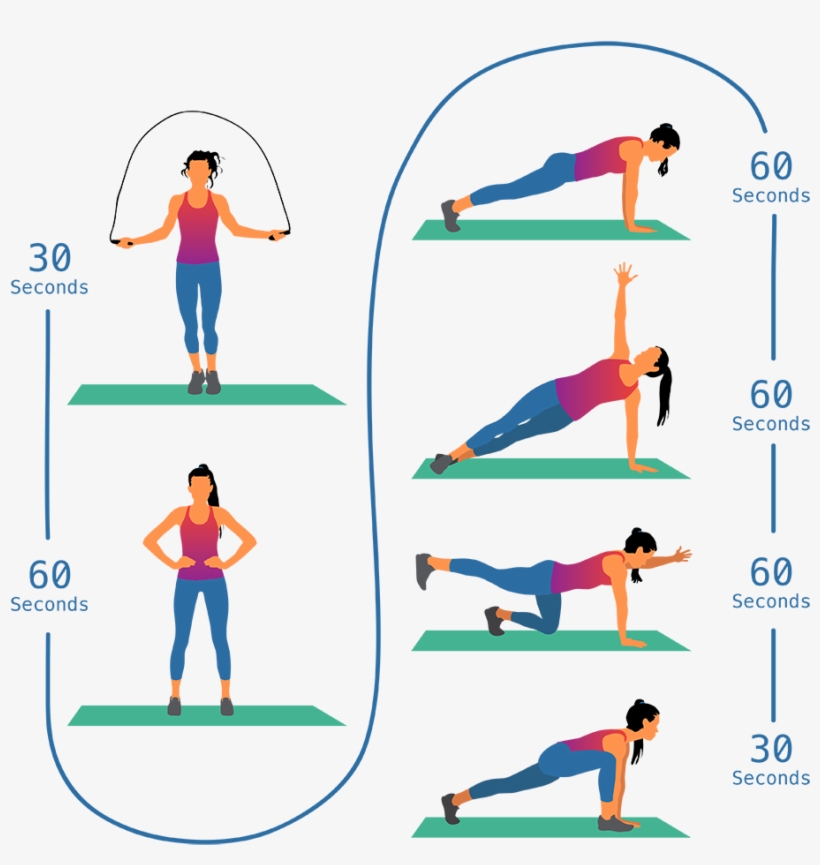 It Needs To Be Strong To Stabilize The Spine And Pelvis, - Back Strength Exercises, transparent png
