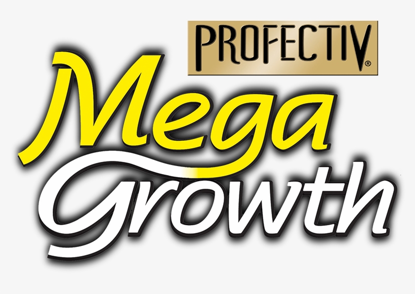 Profectiv Mega Growth Logo, transparent png