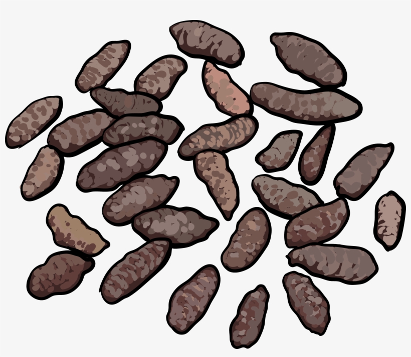 Norway Rat Droppings - Pack Rat Droppings, transparent png