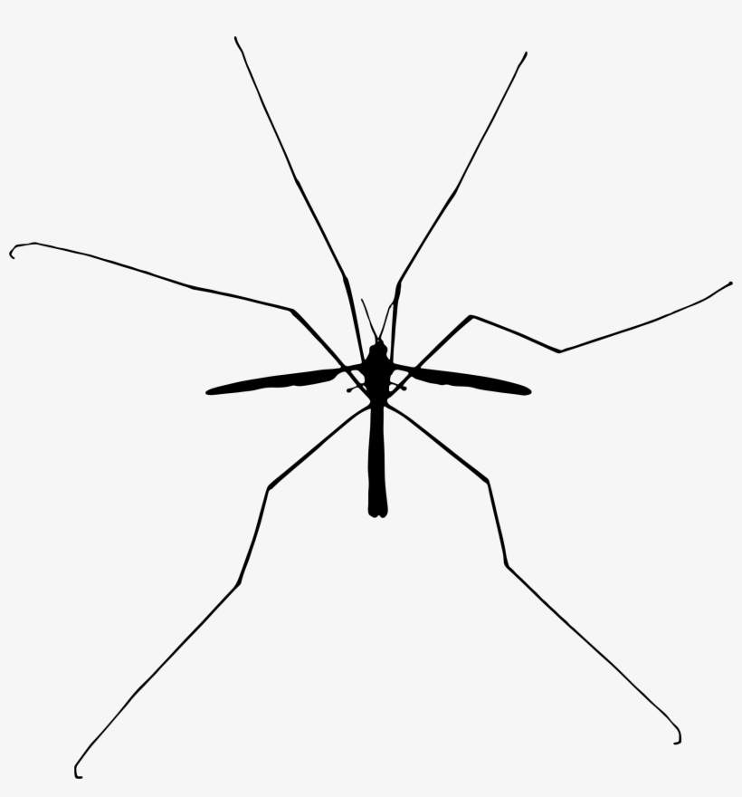 Big Image - Silhouet Insect Png, transparent png