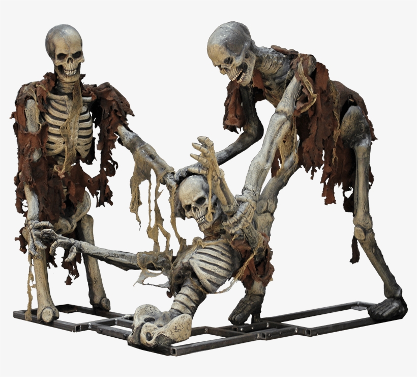 Png Of Hanging Skeleton, transparent png