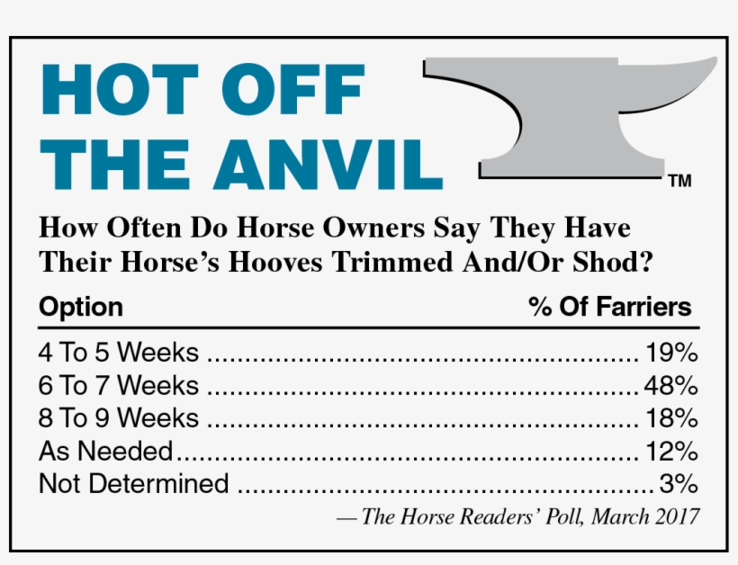 Congressmen Introduce Rival Horse Protection Bills - Ron Mueck Angel, transparent png