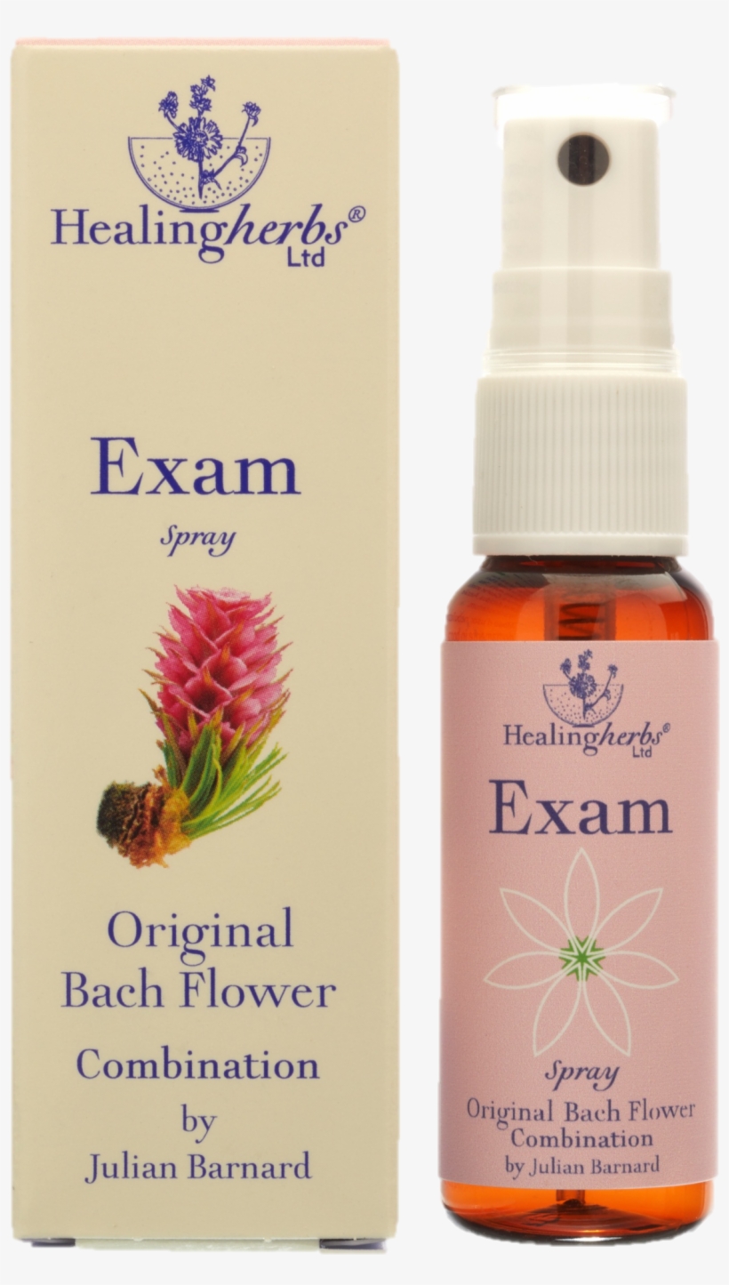 Exam - Florais De Bach Para Concentração, transparent png