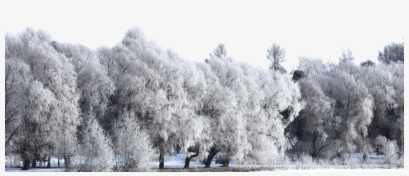 Snow, transparent png