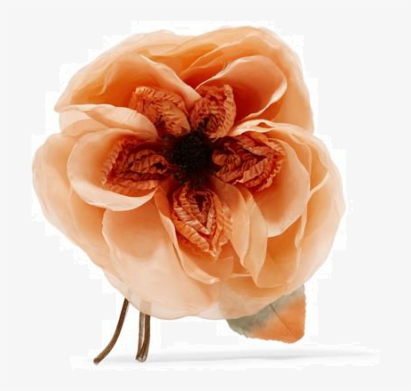 Gucci Gucci - Floral - Peony, transparent png