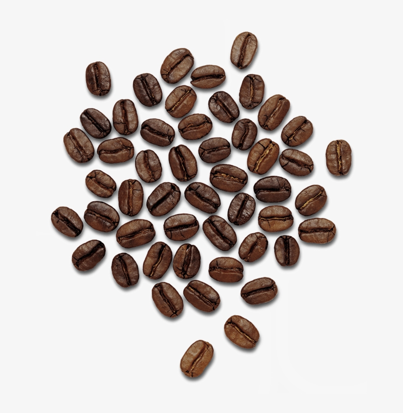 Coffee Beans - Dolce Gabbana The Only One Perfume, transparent png