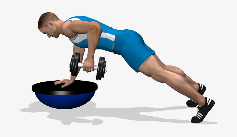 Single Arm Dumbbell Row On Bosu Involved Muscles During - Esercizi Dorsali A Casa, transparent png