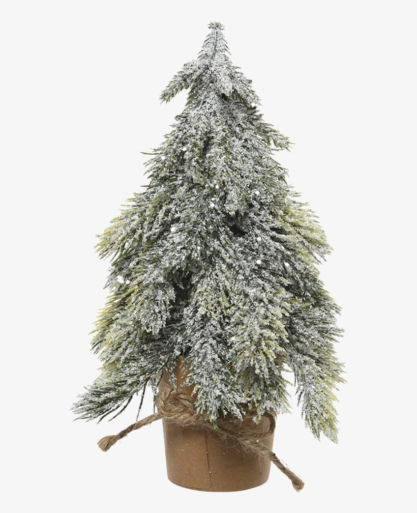 Artificial Christmas Tree In A Carton Pot, Snowy, - Christmas Tree, transparent png