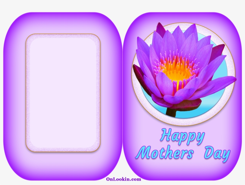 Happy Mothers Day Violet Lily - Water Lily, transparent png