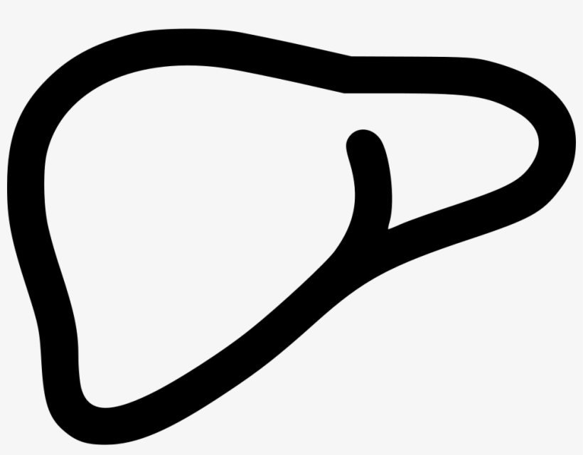 Png File Svg - Liver Svg, transparent png