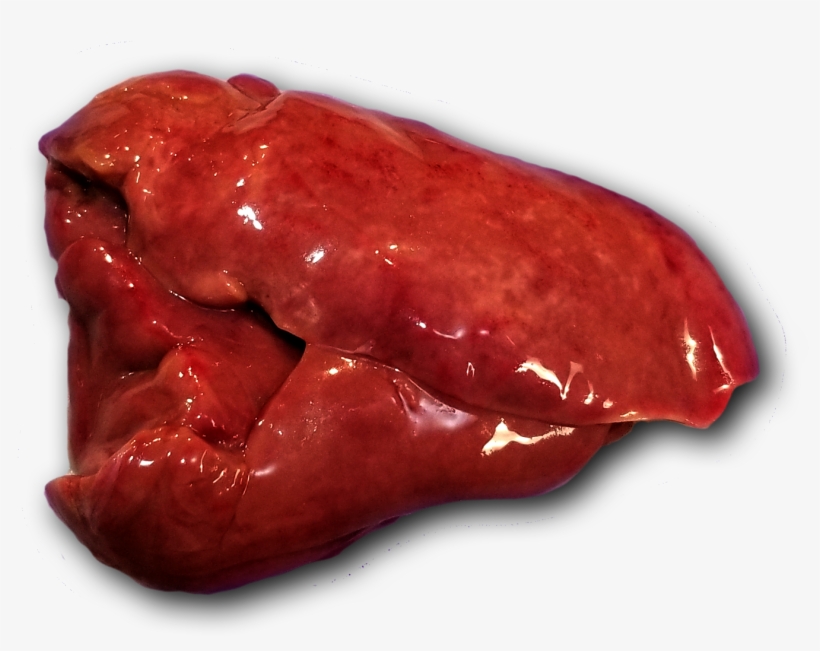 Nutritional Organs Are Major Metabolic And Hormone-secreting - Organ Meats Png, transparent png