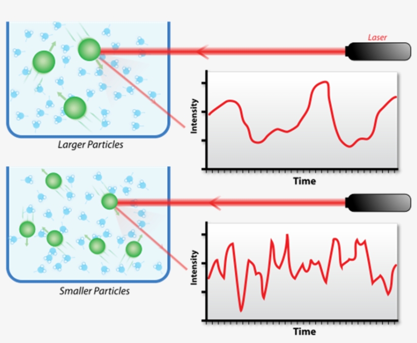 Particles In The Solution Could Be Acquired By Processing - Dynamic Light Scattering, transparent png