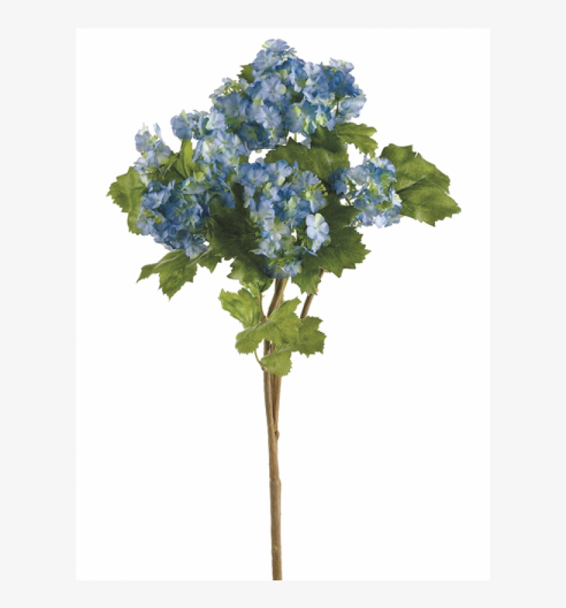 Inch Spray X Two Tone Blue - Hydrangea, transparent png