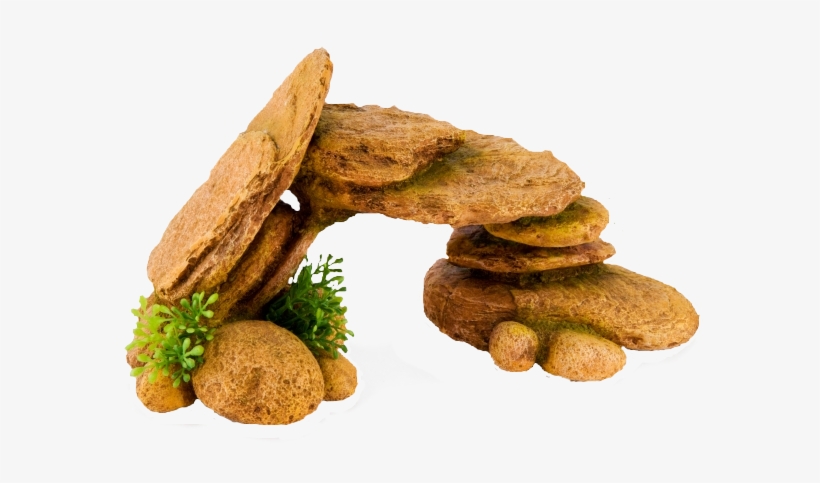 Photo Logs - Biscotti, transparent png