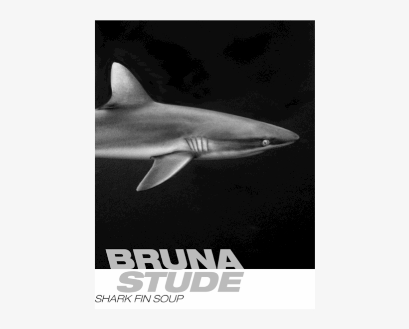 Ocean Meets Art - Great White Shark, transparent png