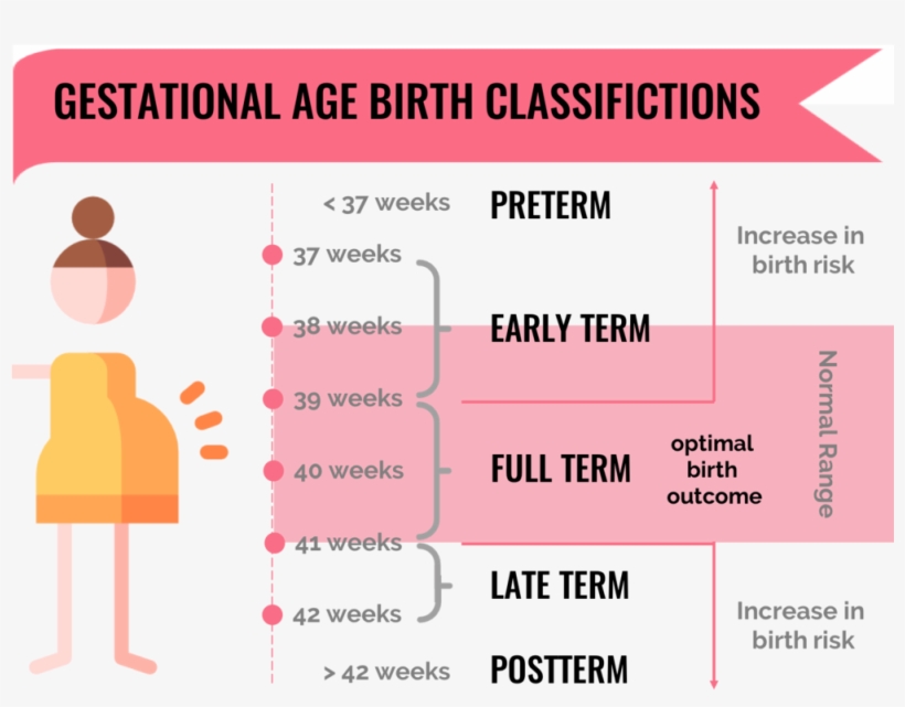World Health Organization Defined Classifications, transparent png