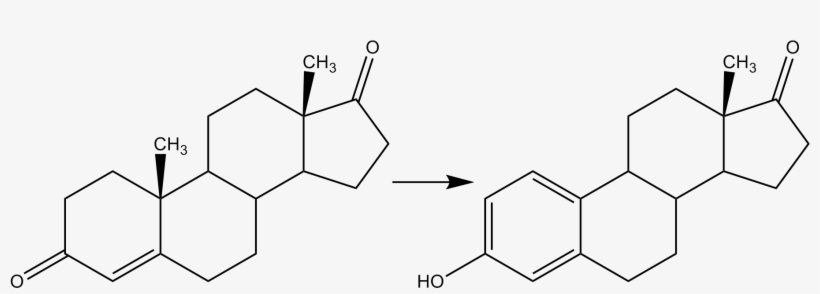 Reaction Androstendione Estrone - 2 Methoxyestradiol, transparent png