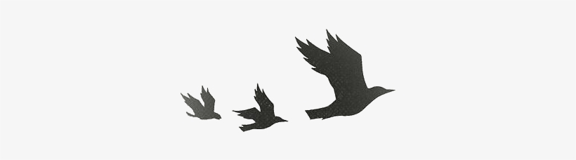 Tumblr Static Tumblr Static Tumblr Static Transparent4 - Divergent Birds, transparent png