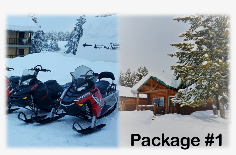 1 Bedroom Cabin Package - Moshi Monsters Moshlings Iggy, transparent png