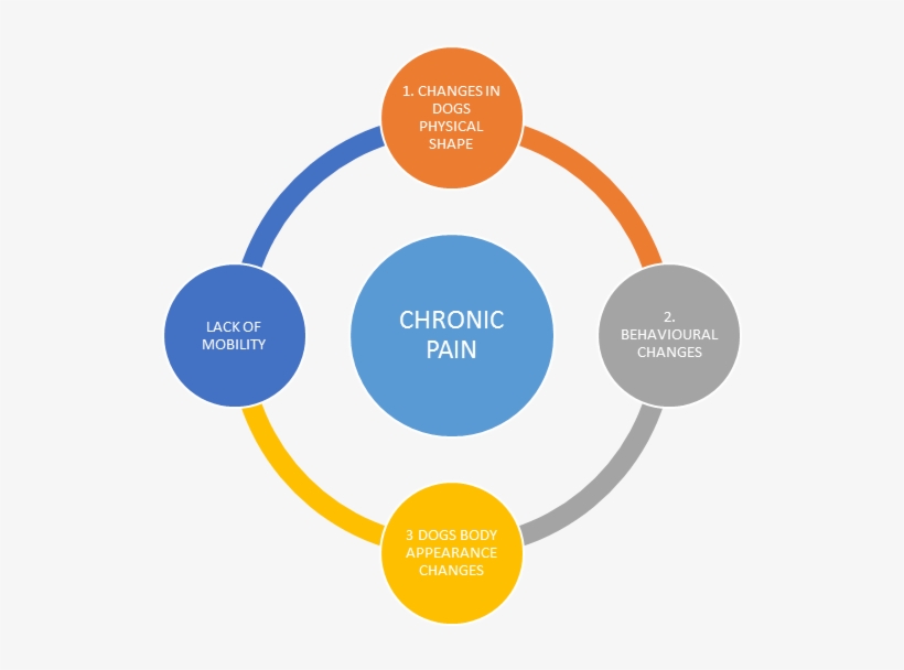 Chronic-pain - Professional Development Planning, transparent png